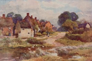 "Dilenci Süpürgesi" (renkli taş) by Ernest William Haslehust