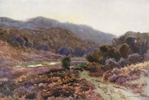 Broomy Water ile (renkli lito) by Ernest William Haslehust
