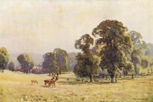 Cobham Park (renkli taş) by Ernest William Haslehust