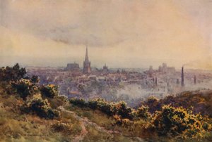 Mousehold Heath