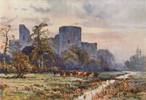 Meadows