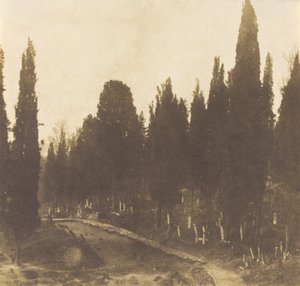 Türkiye: Scutari Mezarlığı,1852 (fotoğraf) by Ernest de Caranza