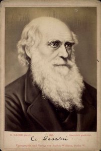 Charles Darwin, İngiliz doğa bilimci, c1860s-c1870s by Ernst Hader