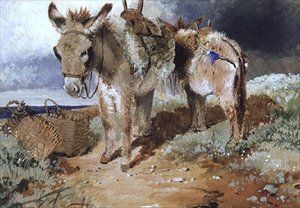 Eşekler, 1855