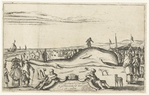 Noordwijk'te sahilde karaya vurmuş balina, 1614