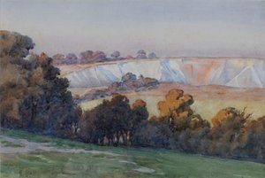 Farthing Downs