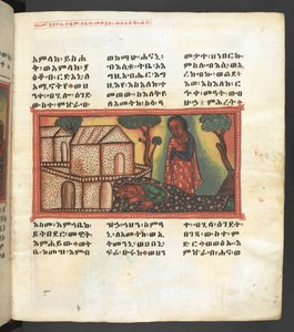 Veya. 607 f005r, Meryem Ana