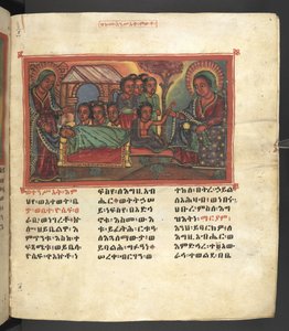 Veya. 607 f013r, Meryem Ana