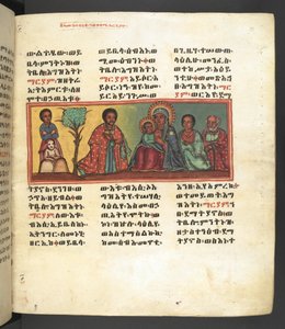 Veya. 607 f023r by Ethiopian School