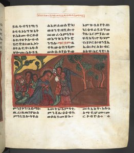 Veya. 607 f051r, Meryem Ana