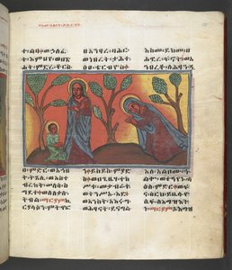 Veya. 607 f174r, Meryem Ana