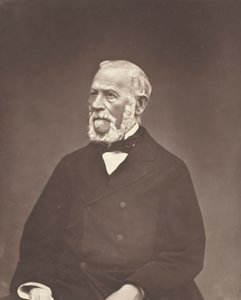 Henri Martin, c. 1876. by Etienne Carjat