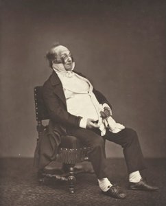 Henri Monnier, c. 1876. by Etienne Carjat