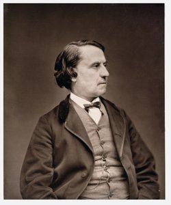 Louis Blanc (1813-82), 'Çağdaş Galeri'den, 1874-78 dolayları by Etienne Carjat