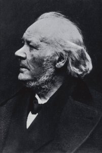 illüstratör Honore Daumier by Etienne Carjat