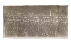 Yürüyen Adam, 1882 by Etienne Jules Marey