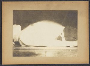 Marey bir solunum çalışmasında by Etienne Jules Marey