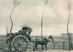 Campagna