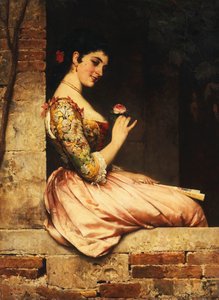 pembe gül,