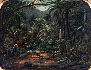 Dandenong Sıradağlarında Ferntree Vadisi