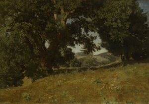 Manzara by Eugene Bléry