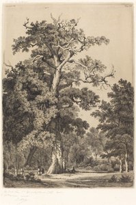 Bois de Boulogne'daki Antik Meşe, 1855.