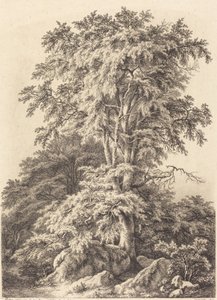 Kayın Korusu, 1840. by Eugene Bléry