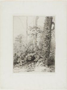 Bramble ve Sarmaşık by Eugene Bléry