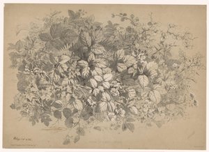 Bramen en andere planten Brambles ve çeşitli bitkiler (nesne üzerindeki başlık) Planten en bloemen (seri başlığı) Doğadan alınmış ve Bléry tarafından taş baskılı endüstriyel kılavuz (seri başlığı) by Eugene Bléry