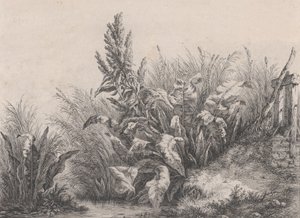 Büyük Su Rıhtım Tesisi, 1840.