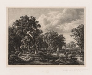 Doğadan Sonra Çizilmiş Çeşitli Bitki Grupları: No. 7, 1855. by Eugene Bléry