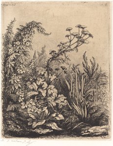 La petite berle aux liserons by Eugene Bléry