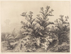 Devedikeni by Eugene Bléry