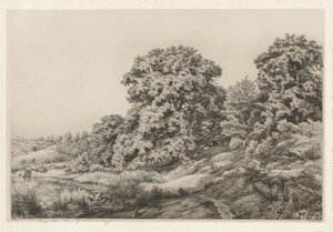 Gölet yakınında Oaks, 1852.