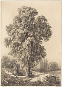 Karaağaç, 1840.