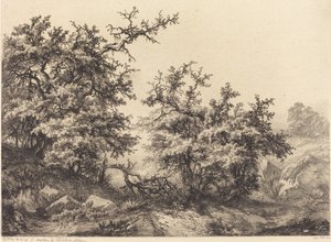 Dikenli çalılar, 1840.