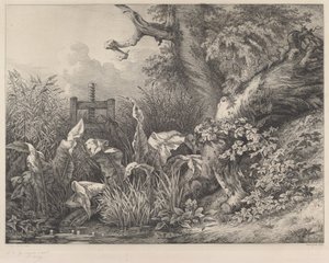 Bir Savakta Su İskelesi ve Brambles, 1843. by Eugene Bléry