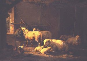 Bir ahırda koyun ve kümes hayvanları by Eugene Joseph Verboeckhoven