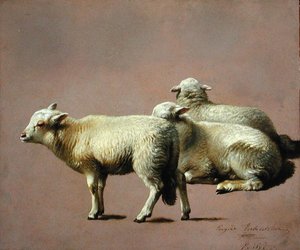 Koyun Çalışması by Eugene Joseph Verboeckhoven