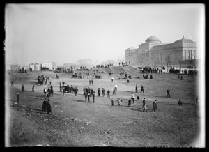 Su kulesi, Prospect Park, Brooklyn (nitrat negatif)