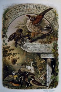 Eugenio Bettoni (1845-1898) tarafından Lombardiya