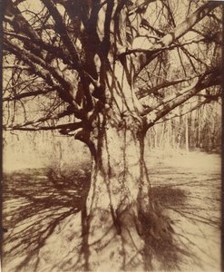  by Eugène Atget