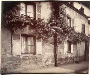 Glisin (Wisteria), Chtillon by Eugène Atget