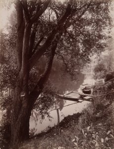 Marne