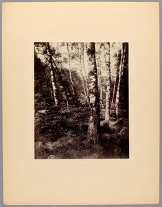  by Eugène Atget