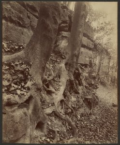  by Eugène Atget