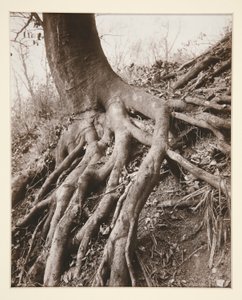 Saint-Bulut by Eugène Atget