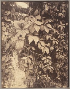  by Eugène Atget