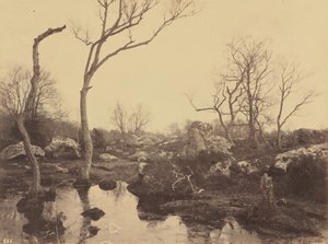  by Eugène Cuvelier