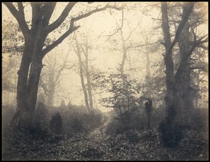 Fontainebleau. Barbizon